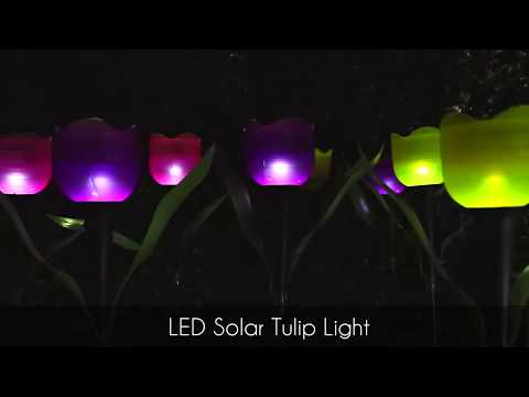LED-es szolár tulipánlámpa szett